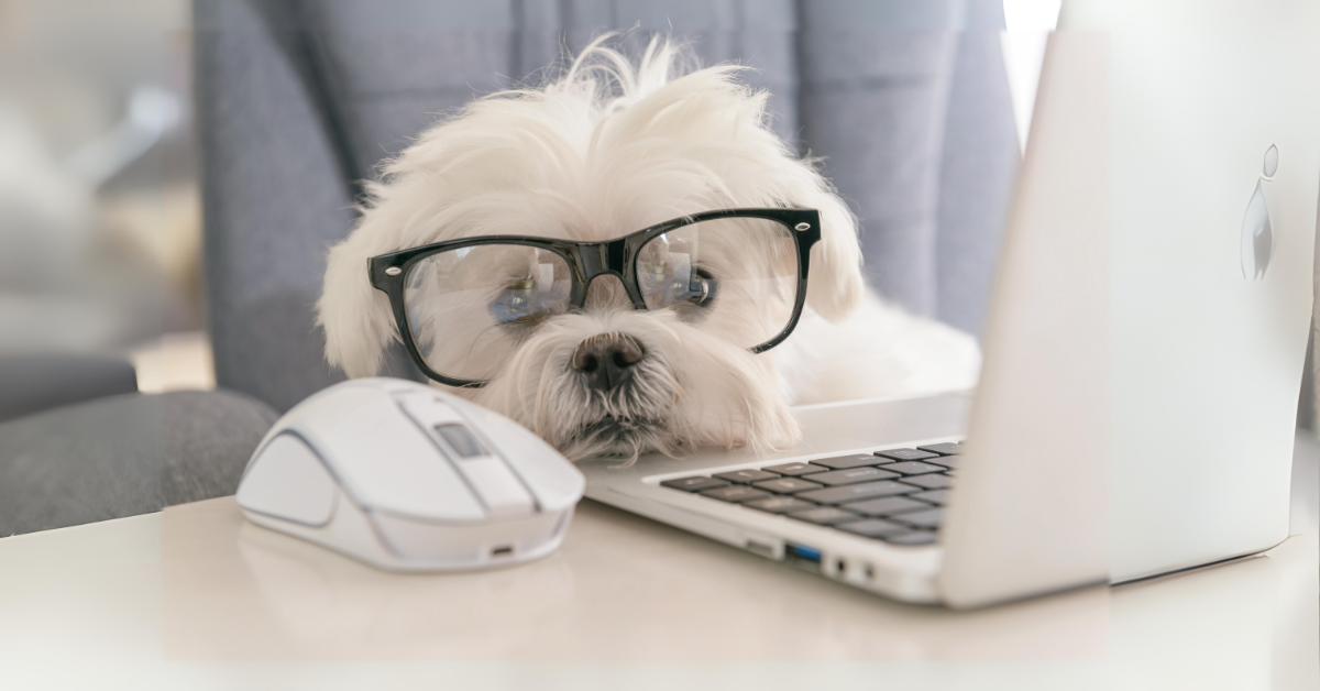 A Guide to Intelligent Authentication in Contact Centres