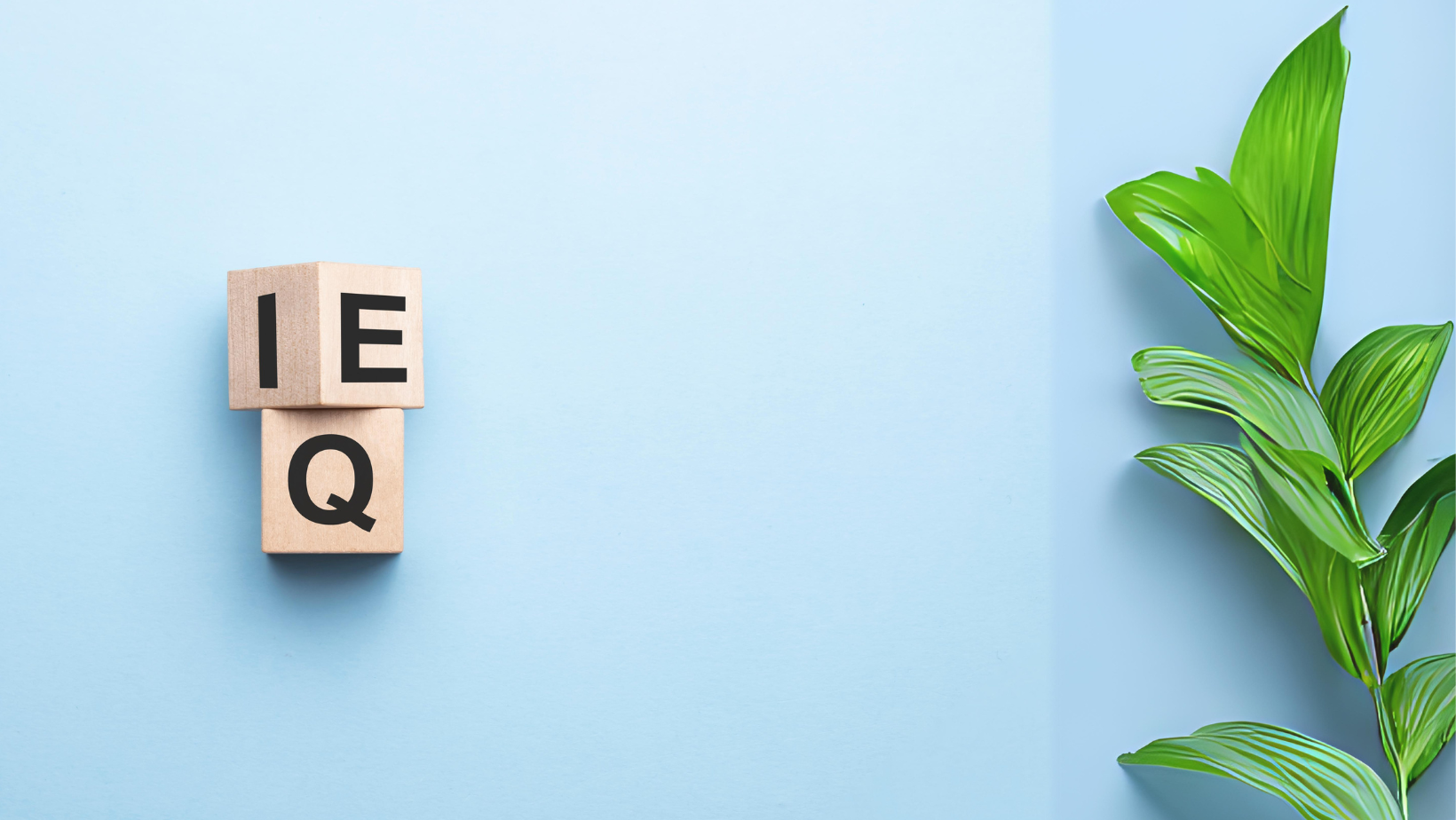 How to Develop Empathy-Centric Customer Service in Contact Centres