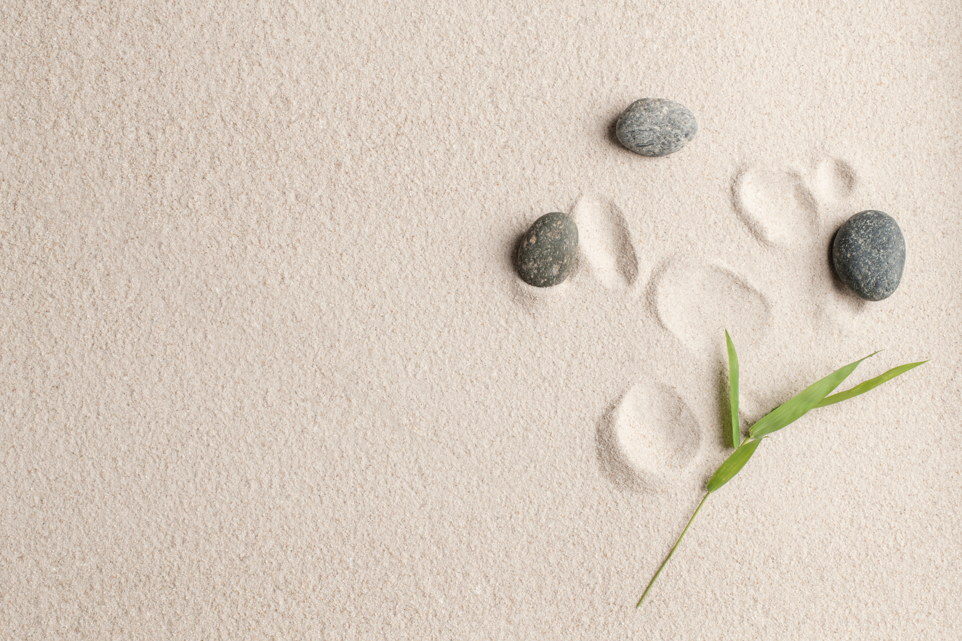 Measuring and Improving Contact Centre Agent Well-being